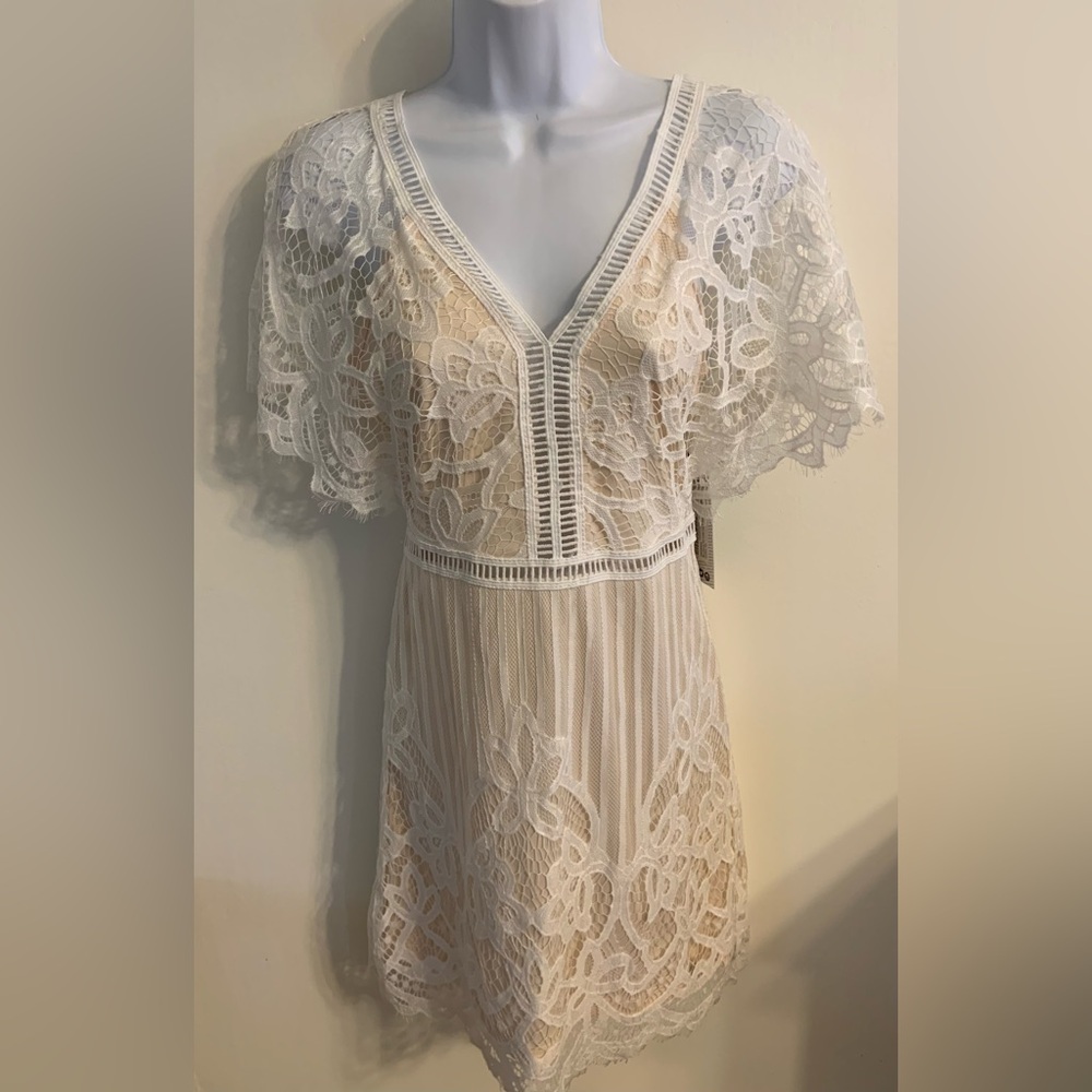 (NWT) Boohoo Ladies Size 6 Gorgeous Blush/ Ivory All Over Lace Bodycon